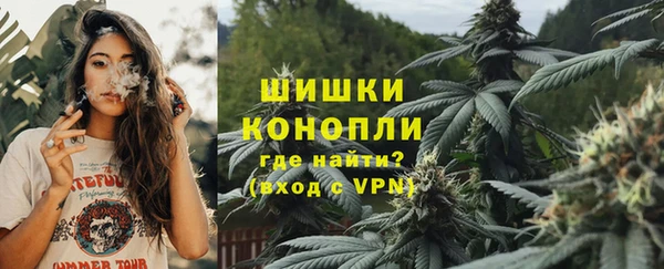 гашик Заволжье